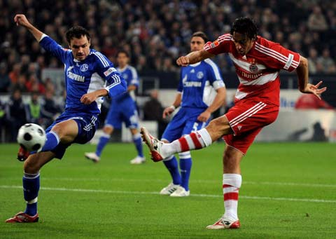 岁的忠实纽 岁的忠实纽