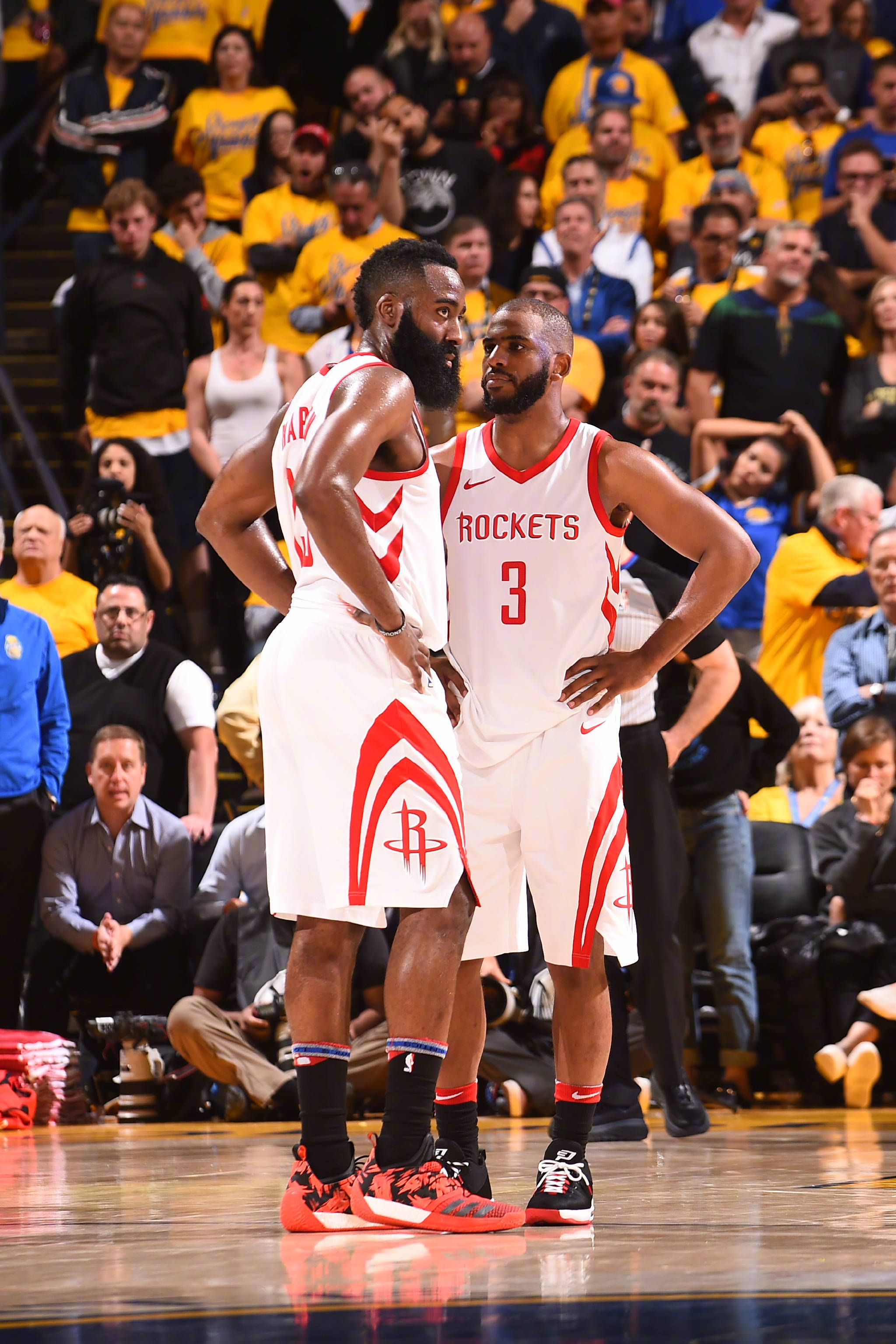 不仅收获了 不仅收获了