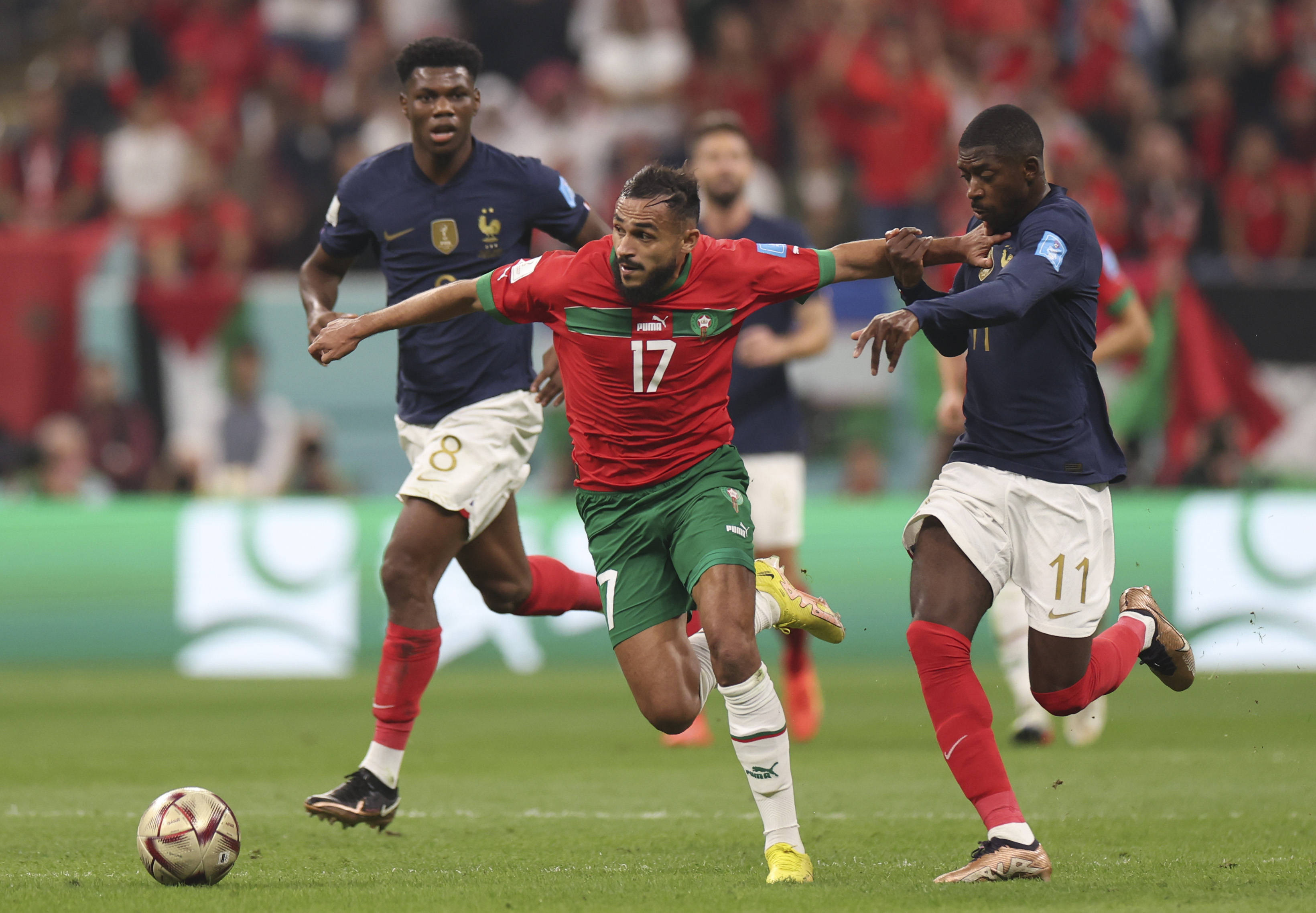 霍芬海姆在 霍芬海姆在