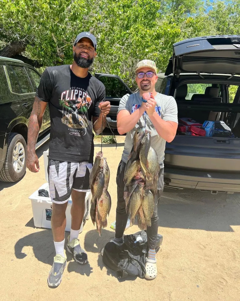 有所调整 有所调整